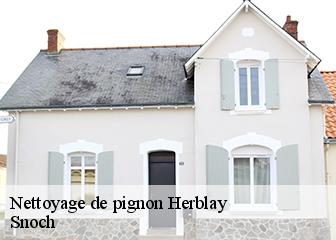 Nettoyage de pignon  95220