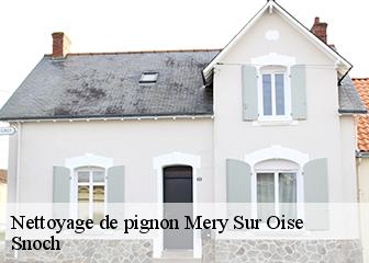 Nettoyage de pignon  95540