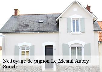 Nettoyage de pignon  95720