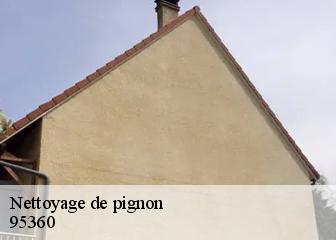 Nettoyage de pignon  95360