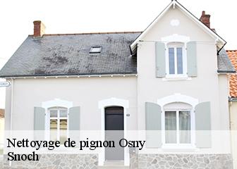 Nettoyage de pignon  95520