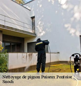 Nettoyage de pignon  puiseux-pontoise-95650 Snoch