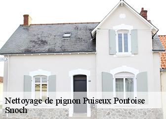 Nettoyage de pignon  95650