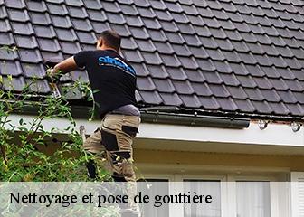 Nettoyage et pose de gouttière