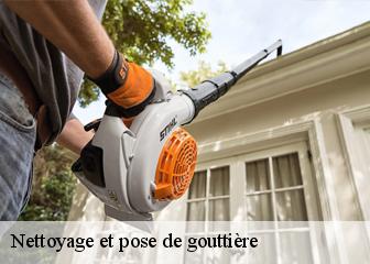 Nettoyage et pose de gouttière