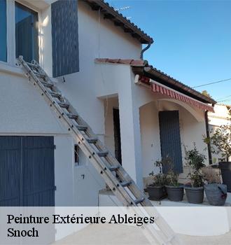 Peinture Extérieure  ableiges-95450 Snoch