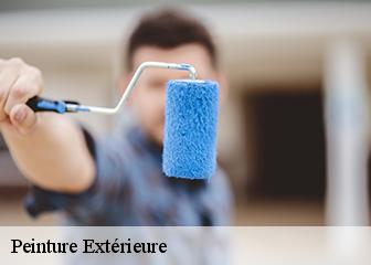 Peinture Extérieure  95580