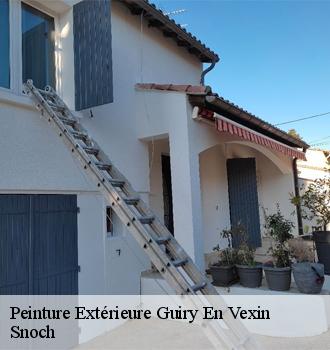 Peinture Extérieure  guiry-en-vexin-95450 Snoch