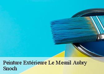 Peinture Extérieure