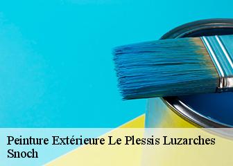 Peinture Extérieure