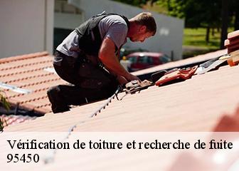 Vérification de toiture et recherche de fuite  95450