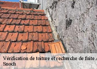 Vérification de toiture et recherche de fuite  95510