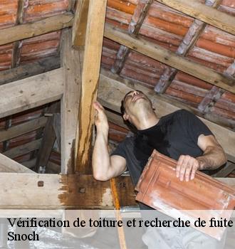 Vérification de toiture et recherche de fuite  belloy-en-france-95270 Snoch