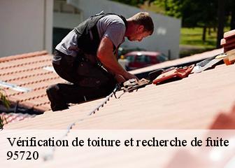 Vérification de toiture et recherche de fuite  95720