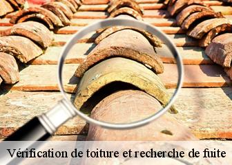 Vérification de toiture et recherche de fuite