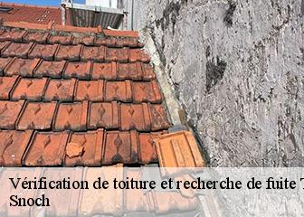 Vérification de toiture et recherche de fuite  95150